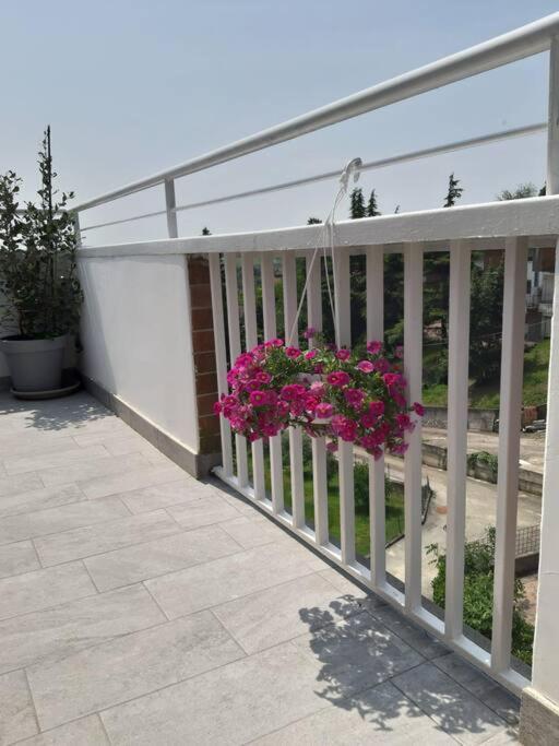 Apartmán Casa Tra I Castelli San Martino Alfieri Exteriér fotografie